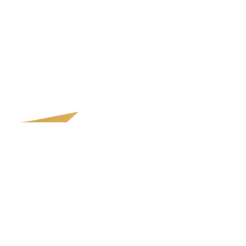 Zico Logo